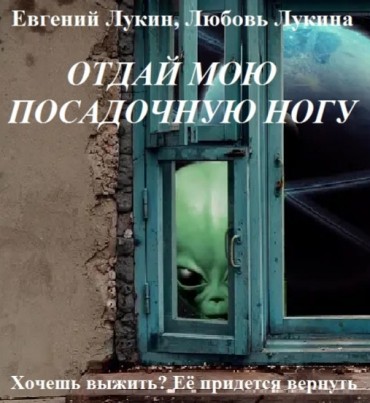 Система вопросов к анализу рассказа Е. и Л. Лукиных «Отдай мою посадочную ногу»